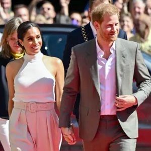 New with Tags Anine Bing “Kylin” Top ASO Anine Bing